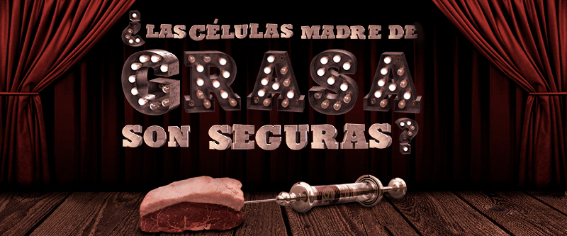 ¿Las células madre de grasa son seguras?